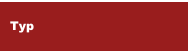 Typ